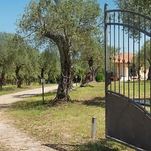 2* Bed and breakfast Welcomely - Country Olivar